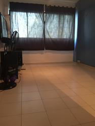 Blk 178 Bishan Street 13 (Bishan), HDB 5 Rooms #129539712